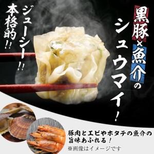 ふるさと納税 鹿児島県産黒豚使用 南国熊曽黒豚五目シュウマイ 計40個(10個x4パック) a2-031 鹿児島県志布志市