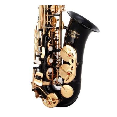 Glory Black Laquer E Flat Alto Saxophone with 11reeds,8 Pads cushions,case,carekit