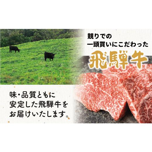 ふるさと納税 岐阜県 飛騨市 焼肉 6種食べ比べ 希少部位 各100g 計600g 牛肉 肉 部位おまかせ 赤身 霜降り和牛 ギフト 贈り物 飛騨市