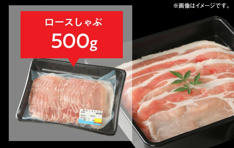 宮崎県産豚 ロースとんかつ 100g×5 ロースしゃぶ 500g ヒレとんかつ 400g　計1.4kg ミヤチク 国産　N0147-ZA170