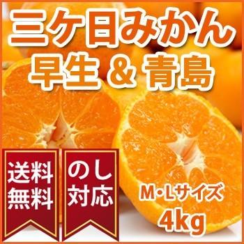 静岡県産みかん 「三ヶ日みかん 早生 青島」 ＭまたはＬサイズ4kg 光センサー選別品