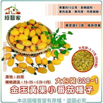 【綠藝家】大包裝G28-1.金玉黃果小番茄種子0.17克(約80顆)