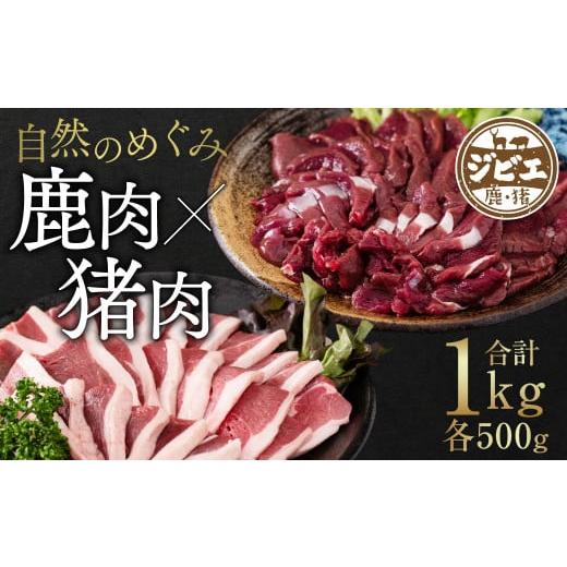 ふるさと納税 熊本県 八代市 自然のめぐみ 猪肉 500g 鹿肉 500g 合計1kg ジビエ