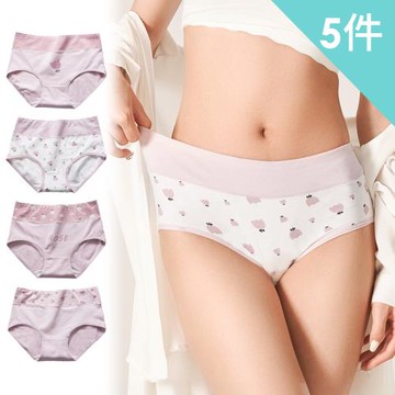 【Dylce 黛歐絲】5件組-★-粉嫩花花俏皮印花柔軟長絨棉中腰內褲/無痕內褲/女內褲(隨機)