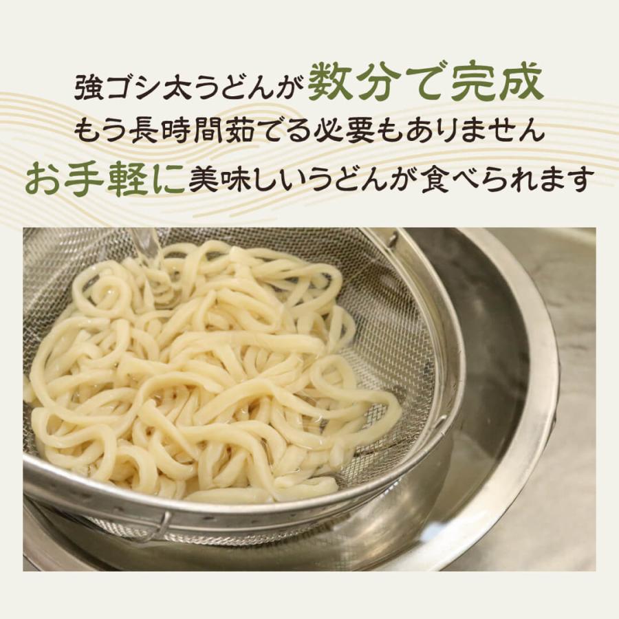 うどん 食べ比べ 10食 武蔵野うどん 乱切り 手もみ風うどん 冷凍うどん コシ最強 詰め合わせ 送料無料 おまけ付