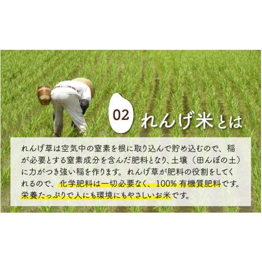 ふるさと納税 福井県 永平寺町 令和5年産 新米 農薬不使用・化学肥料不使用 永平寺町産 れんげ米 10kg×3ヶ月（計30kg） [G-002017]