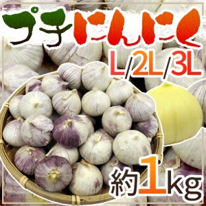 ”プチにんにく” L 2L 3L 約1kg 送料無料