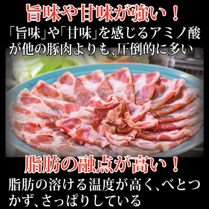 鹿児島 黒豚 しゃぶしゃぶ 鍋セット 4人前 豚肉 肩ロース 520g あごだしで食べる お取り寄せ ギフト 六白豚 しゃぶしゃぶセット 銘柄豚 グルメ 独楽