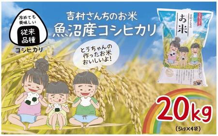 ｜従来品種｜ 魚沼産 コシヒカリ 5kg ×4袋 計20kg 米 こしひかり お米 コメ 新潟 魚沼 魚沼産 白米 送料無料 新潟県産 精米 産直 農家直送  お取り寄せ 吉村さんちのお米 新潟県 十日町市
