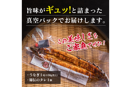 職人手焼きうなぎ蒲焼1尾(計130g以上)　鰻　ウナギ　魚　魚介　国産 BA51-23