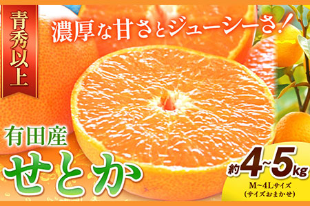 一度は食べていただきたい! 有田産のせとか 青秀以上 約4～5kg （サイズおまかせ） 厳選館 《2024年2月下旬-4月上旬頃より順次出荷》 和歌山県 日高川町 せとか 柑橘 有田産---wshg_genseto_l24_22_19000_5kg---