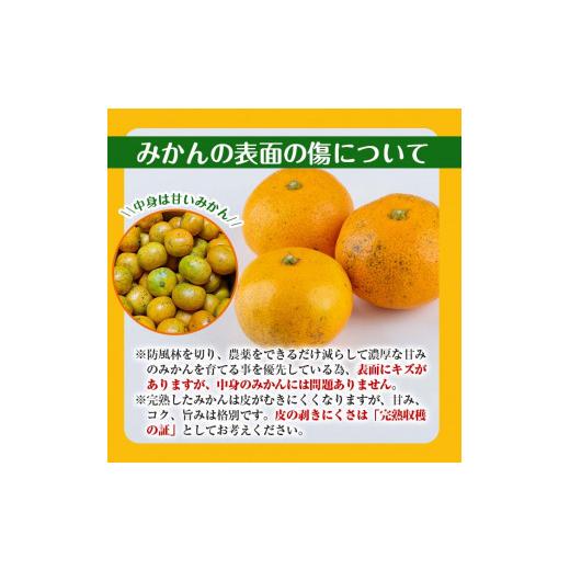 ふるさと納税 鹿児島県 出水市 i573 ＜2023年11月上旬〜2024年1月下旬の間に発送＞温州みかん日本一！濃甘あめ玉みかん(計約20kg・10kg…