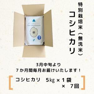 ふるさと納税 特別栽培米コシヒカリ5kg×7回 秋田県にかほ市