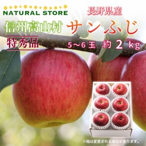 [予約 2023年 11月15日-12月31日の納品] 特秀 サンフジ 5-6玉 約2kg 大玉 りんご 長野県 高品位 冬ギフト お歳暮 御歳暮