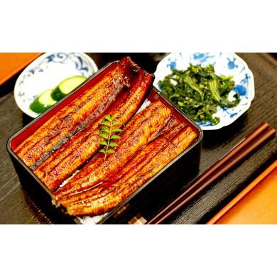 ふるさと納税 うなぎ 国産 高知県産 鰻 蒲焼き 220g×5尾 セット 蒲焼きのタレ 付き 冷凍 高知県 須崎市 うなぎ 蒲焼き うなぎ 冷凍 うな.. 高知県須崎市