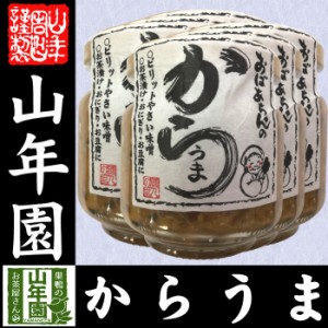 おばあちゃんのからうま 100g×6個セット ピリットやさい味噌 お茶漬け・おにぎり・お豆腐に Made in Japan 送料無料 国産 緑茶 ダイエッ