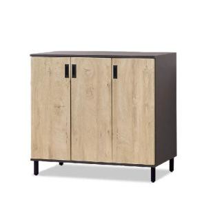 ASSARI-卡斯特原切色4尺鞋櫃(寬120x深39x高96cm)