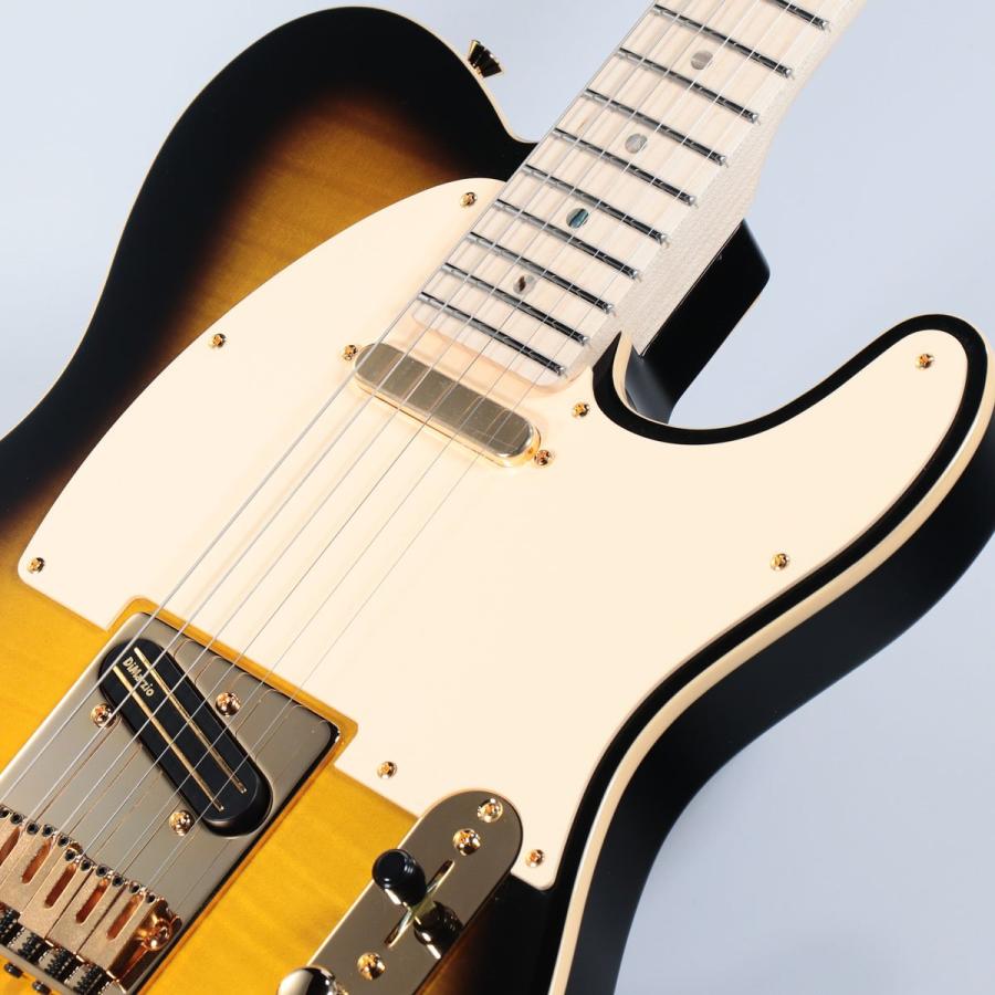 Fender   Japan Exclusive Richie Kotzen Telecaster Brown Sunburst フェンダー エレキギター (新品特価)(YRK)