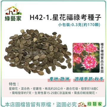 【綠藝家】H42-1.星花福祿考種子0.3克(約170顆)(閃爍) 星瓣花，混合色，密叢性，株高約20公分，適合花壇