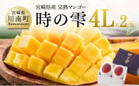 令和６年産 宮崎県産完熟マンゴー「時の雫」４L×２玉