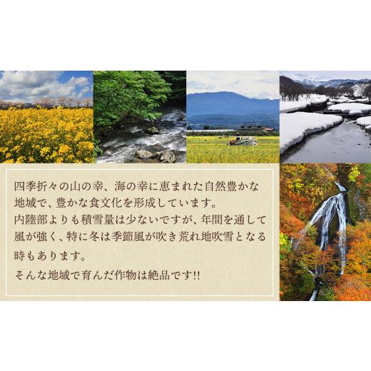 ふるさと納税 山形県 鶴岡市 御殿まりメロン（青肉） 約4.5kg 山形県庄内産 丸果庄内青果