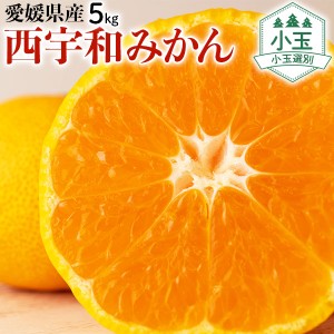 愛媛 西宇和みかん 小玉・訳あり 5kg 3S～Sサイズ混合…