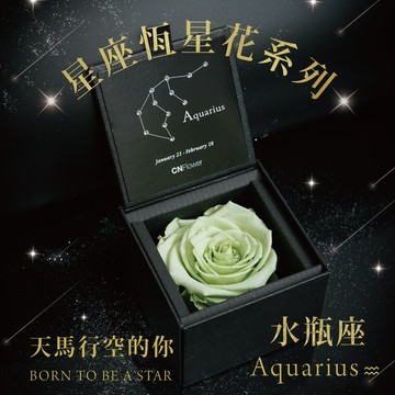 快速出貨🚀天馬行空的你【CNFlower】星座恆星花 升級版2.0-水瓶座(Mint Green)永生花 生日快樂 升級皮革外盒質感送禮更加分