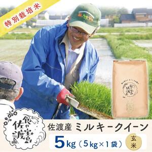 特別栽培米 佐渡島産ミルキークイーン 玄米5Kg×1袋