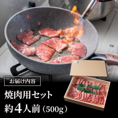 ふるさと納税 東御市 小田切牧場信州プレミアム牛特選　焼肉セット500g