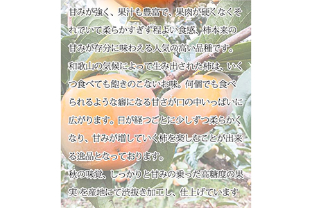 和歌山秋の味覚　平核無柿（ひらたねなしがき）約7.5kg ※2024年10月上旬〜10月下旬頃に順次発送予定