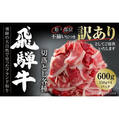 ふるさと納税 高山市 訳あり 飛騨牛 切落とし600g(150g×4パック)使い勝手の良い小分け冷凍真空パック MZ012