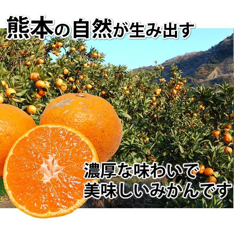 みかん 10kg 送料無料 訳あり 温州みかん 送料無料 S〜3L 熊本県産 熊本みかん 訳ありみかん 蜜柑 ミカン