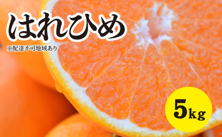 みかん 2024年1月以降発送 爽やかな香りと甘さに満足！ 新品種 はれひめ ＜約5kg＞ 広島 三原 佐木島 鷺島みかんじま