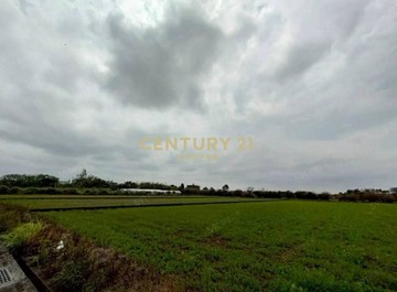 觀音正66快速道路旁美田+合法資材室｜桃園市觀音區三座屋