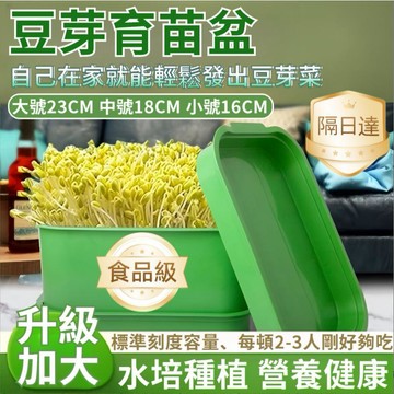 隔日達⚡台灣現貨⚡豆芽種植發芽盆【加大號】自發豆芽種菜盆 水培育苗盆 芽苗菜豆芽盆 育苗盆 豆芽盆 豆芽自發盆 水耕蔬菜