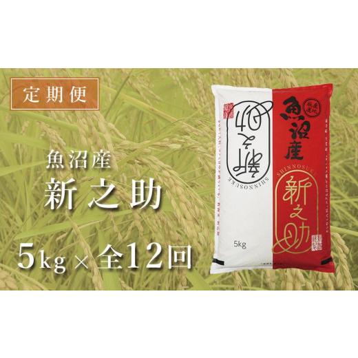 ふるさと納税 新潟県 津南町 ＜令和5年産新米＞中魚沼産「新之助(しんのすけ)」5kg×全12回（12ヶ月連続お届け）