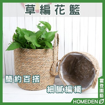 【隔日到貨】草編花籃 龜背芋 觀葉植物 竹籃 花籃 草編籃 摺疊籃 海草編織籃 室內盆栽北歐風【HOMEDEN霍登園藝】