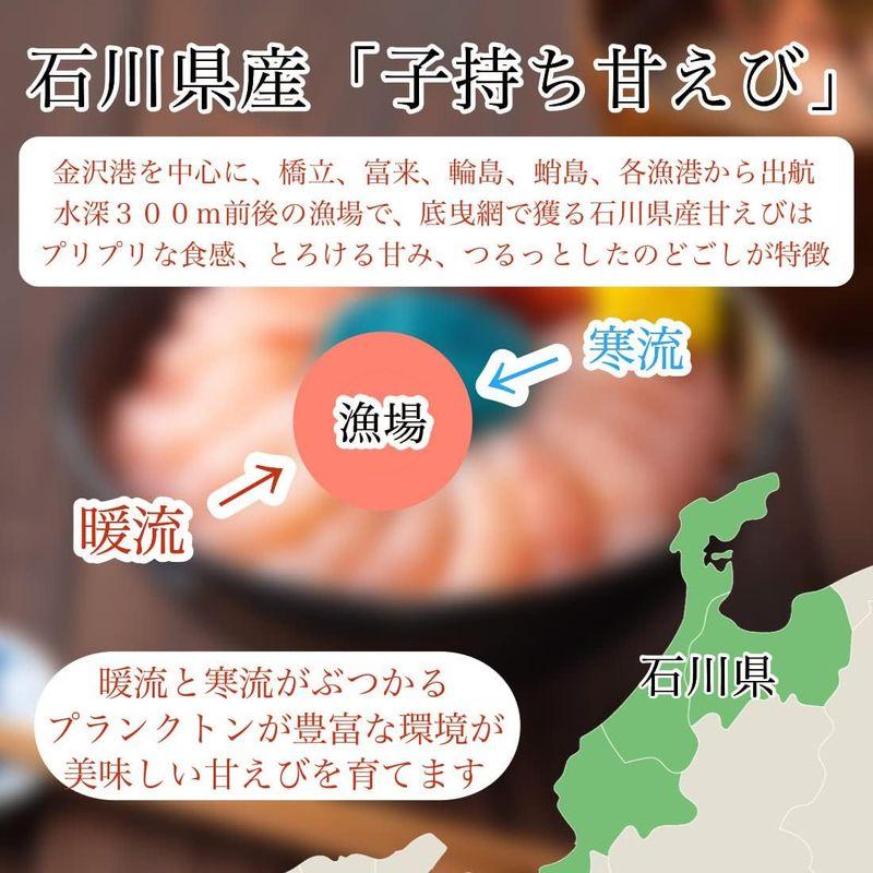 かねなかや次兵衛 ギフト 石川県産 甘えび 子持ち 500g 約35尾 刺身用 エビ 海老 えび 贈答用 自宅用 冷凍