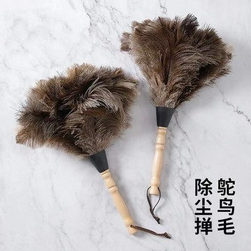 🔥臺灣出貨-熱賣中🔥優質鴕鳥撣子家用除塵不掉掃灰車用防靜電清潔加厚打掃衛生神器