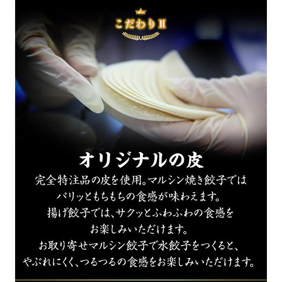 マルシン飯店 生餃子6箱セット 送料無料 1箱20個入×6箱 生餃子 ギョーザ 中華 お取り寄せ 冷凍食品 クール代込 (産直)