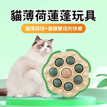 🐱寵物玩具 貓咪玩具 貓貓舔舔樂 貓薄荷球 貼墻蓮蓬球 貓咪啃咬玩具 貓咪磨牙自嗨玩具 清新口氣 小貓解悶玩具 逗貓玩具