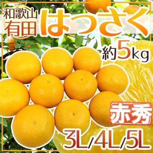 和歌山有田産 ”AQはっさく” 赤秀 超大玉3L 4L 5Lサイズ 約5kg 送料無料