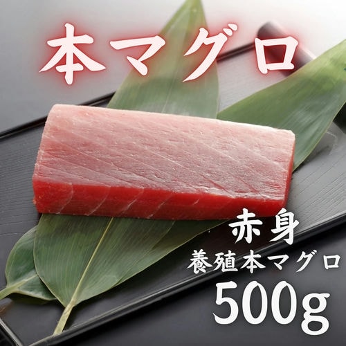 本マグロ 赤身 500g