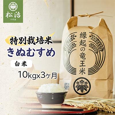 ふるさと納税 竜王町 特別栽培米きぬむすめ 白米10kgx3ヶ月 縁起の竜王米全3回