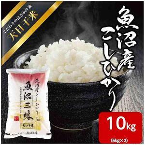 ふるさと納税 魚沼産 コシヒカリ 天日干米 10kg（5kg×2） 米 こしひかり お米 コメ 新潟 魚沼 魚沼産 白米 送料無料 新潟県産 精米 産直 .. 新潟県十日町市