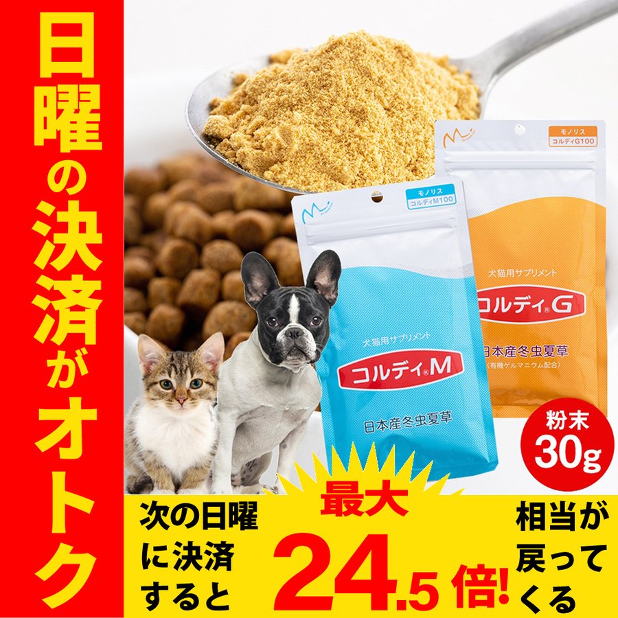 コルディ G 100g スプーン付き - 猫