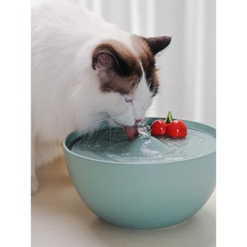 貓咪飲水機循環過濾流動水碗狗狗貓用自動喂水喝水器陶瓷寵物用品