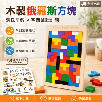 【小胡玩具】木製俄羅斯方塊 兒童益智拼圖 蒙氏早教教具 空間邏輯訓練 兒童玩具 創意拼板 益智積木
