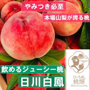 ふるさと納税 人気品種指定約1kg（３玉）（PMK）B17-109 山梨県甲州市