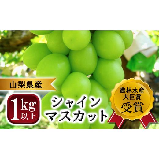 ふるさと納税 山梨県 大月市 山梨県産シャインマスカット　2房　1kg以上　※2024年9月から発送